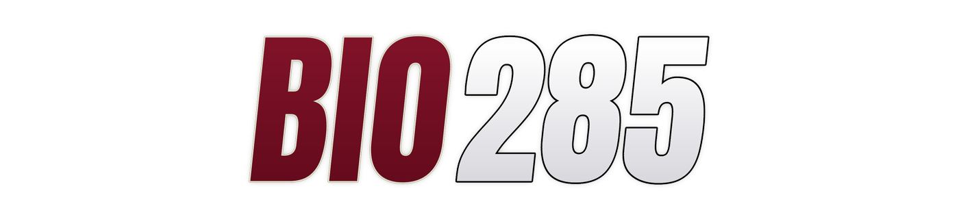 bio285